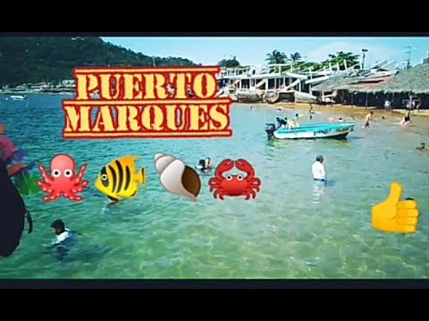Playa de Puerto Marqués🌴🌴🐙🐠🐟🐚 // Paseo en Moto 🏝🌊