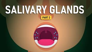 Examining The Salivary Gland Problems | Salivary Glands Part 2