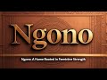 Ngono Meaning