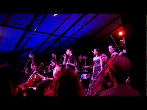 Mother Falcon at the Mohawk