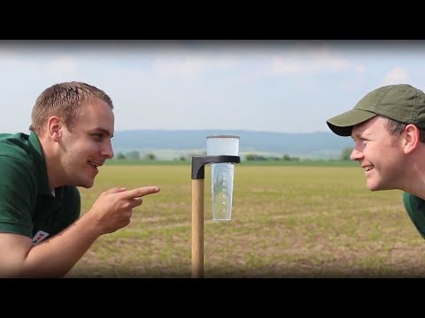 KWS Mais-Blog 2019 - Teil 6 (Starkregen)