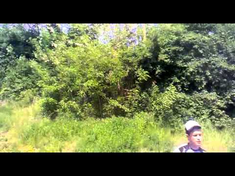 KXM-048 11B Volvo Alfa Localo (Nograd bus)