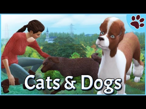 ADOPTING STRAYS | The Sims 4 Cats and Dogs | Part 3