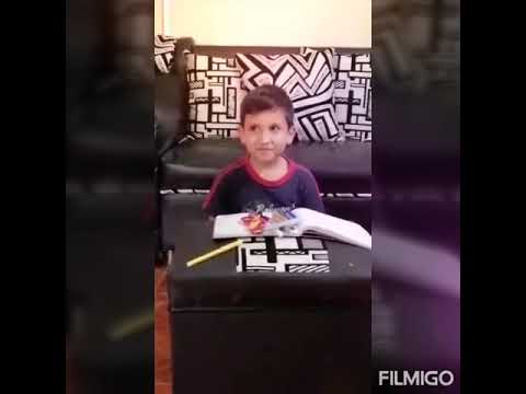 Sofía Sarmiento Investigación