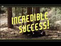 Princess Pictures Black Lamb Merman MPP Incredible Success Walk Chew Gum Inc ABOJWP UP