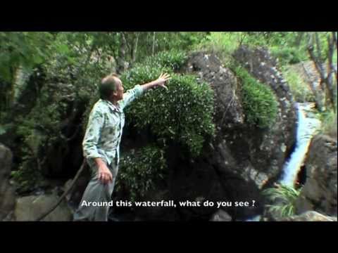 FIELD TRIP WITH PATRICK BLANC IN SOUTH AFRICA (DRAKENSBERG)