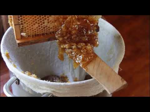 Boja meda ep. 13 05.06.2018. NAJAVA