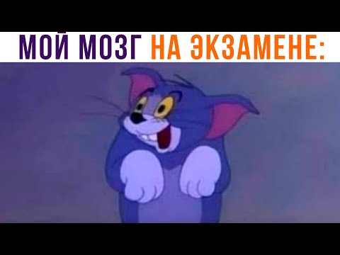 МОЙ МОЗГ НА ЭКЗАМЕНЕ))) Приколы | Мемозг 982