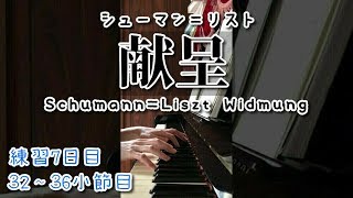 Download lagu 【ピアノ】練習7日目 シューマン＝リスト 「献呈」Schumann=Liszt Widmung【独学で挑戦】 mp3