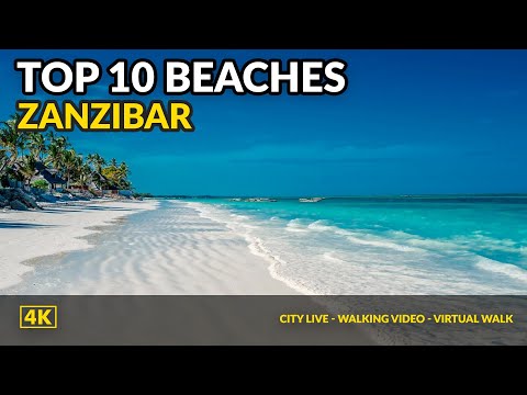 Zanzibar Best Beaches Tanzania  Drone 4K