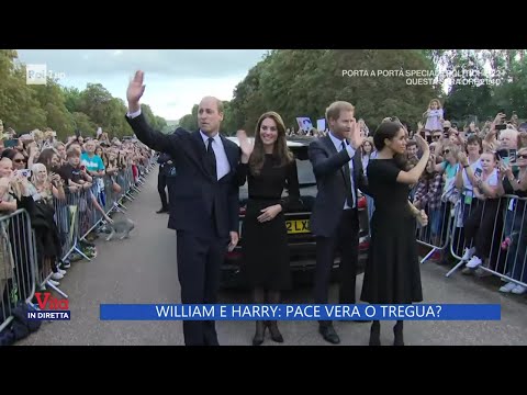 William e Harry: due fratelli divisi - La Vita in diretta 15/09/2022