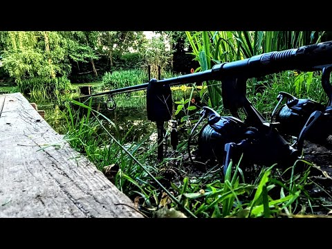 Carp Fishing -  Fishing An Old Estate Lake Using The Ronnie Rig
