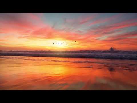 Vexaic - By The Tide