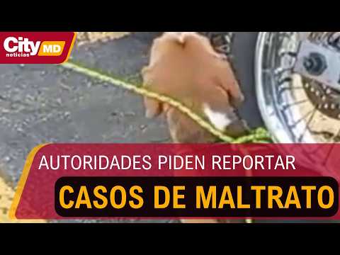 Indignación en Bosa por caso de presunto maltrato animal: rescatan mascota abandonada en bolsas | City Tv Noticias