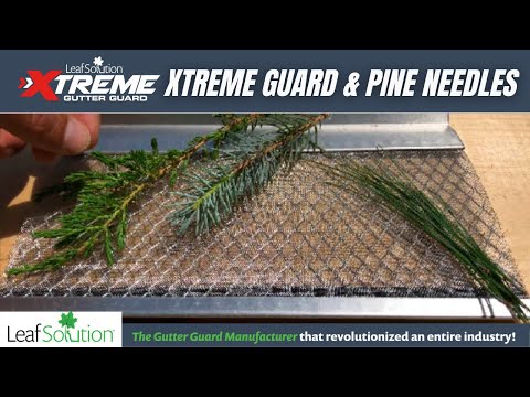 Flower City Cleaning Solutions video.