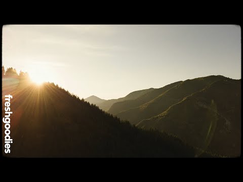 ElaZ & YODAKA - Elevated