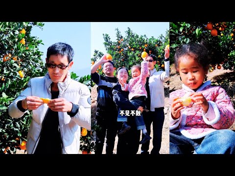 Dubin nahm Feier mit zum Orangenpflücken mit seinen Nachbarn🍊