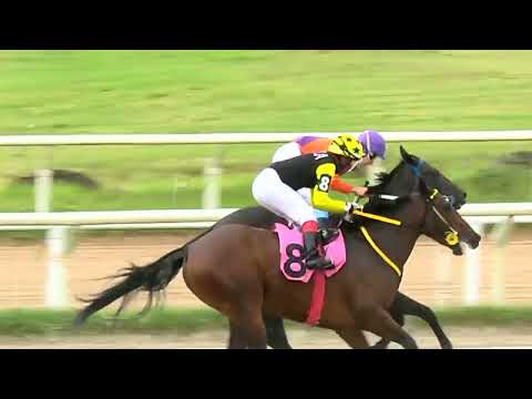 220318 c03 - NOITE FELIZ - HIPODROMO LAS PIEDRAS
