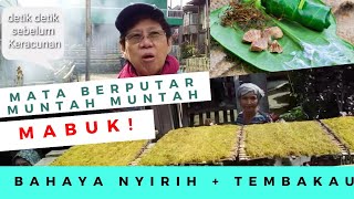preview picture of video 'Mabuk Sirih dan Tembakau ! Warning'