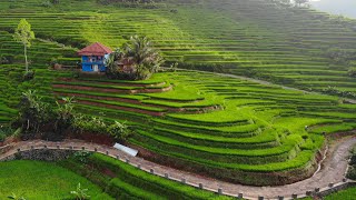 Download lagu SUMPAH! Inilah Suasana Pedesaan Terindah Di Jawa Barat Saat Ini. Pemandangan Alam Tasikmalaya Edyan mp3 Download lagu SUMPAH! Inilah Suasana Pedesaan Terindah Di Jawa Barat Saat Ini. Pemandangan Alam Tasikmalaya Edyan mp3