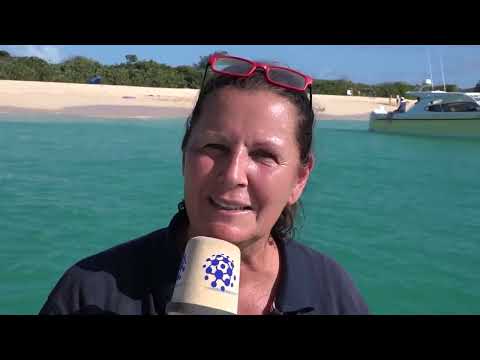 Die schönsten Strände St. Martins – Tipps von Angie von Zauber der Karibik