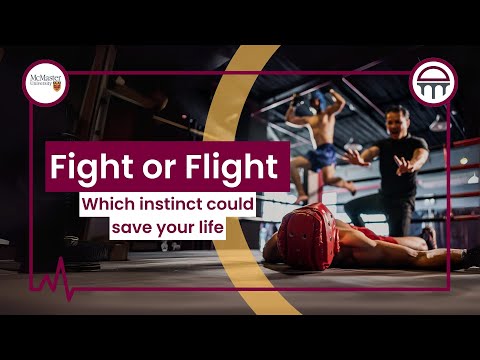 A to Z of the Fight or Flight Response