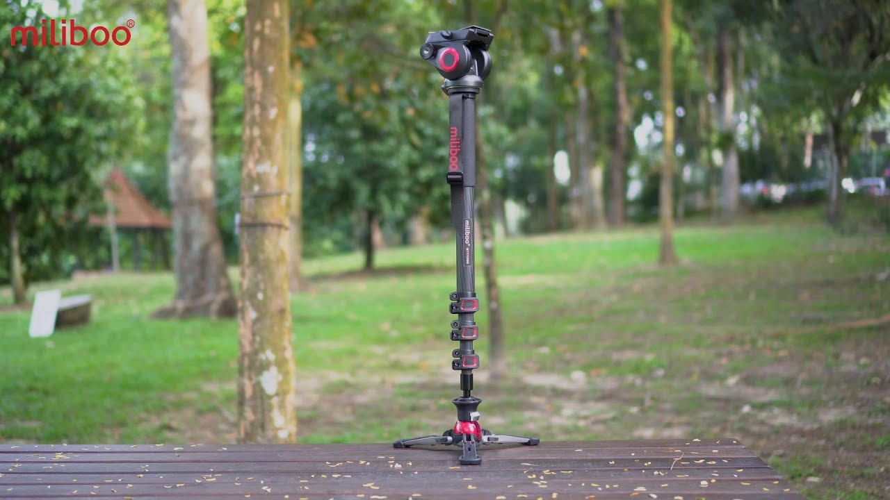 miliboo mtt705b carbon fiber monopod 3-in-1 monopod shooting demo