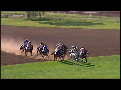 PE, 26. 5. 2018, 6. dostih - Cena ORLING