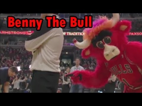 Benny The Bull: Funniest moments