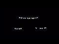 Eyes In The Dark Compilation 3