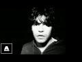 The Charlatans - One To Another - The Arkive The Charlatans - One To Another