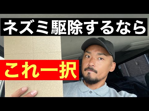 堆肥の中のネズミ