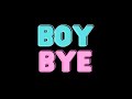 Girls Like You Boy Bye Audio Visualiser