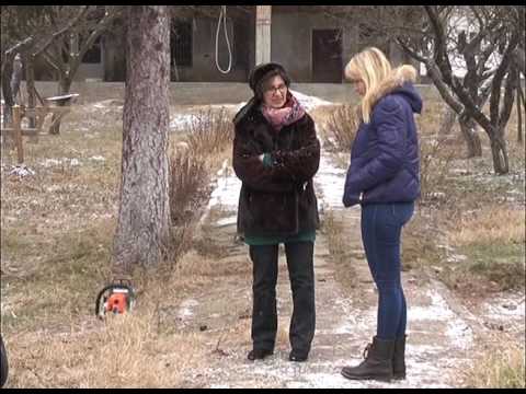 Lipsa de personal la Prigoria