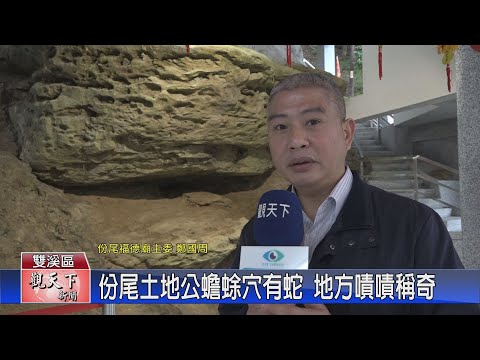 蟾蜍穴
