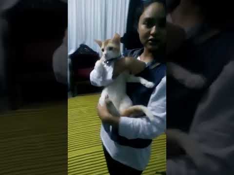 Anushka Momo ar tukun Miaao.