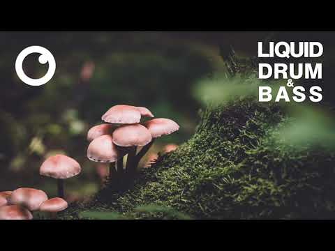 Liquid Drum & Bass Mix 2020 #31