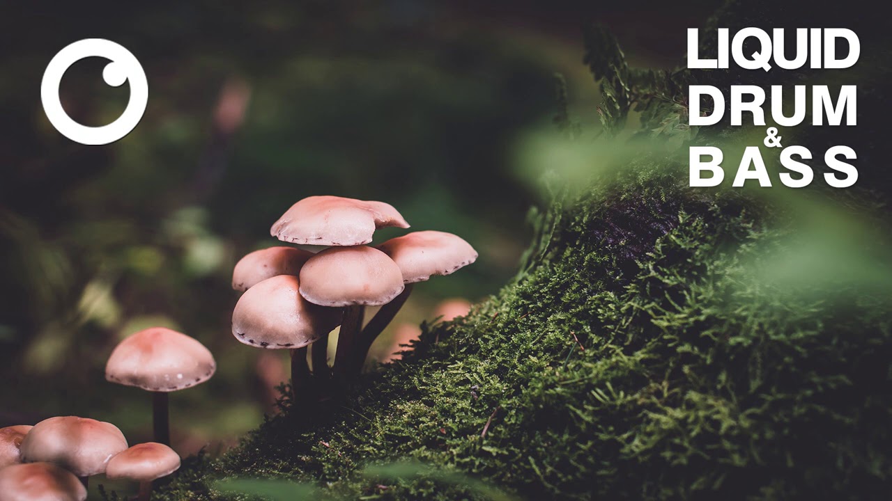 Liquid Drum & Bass 2020 #31