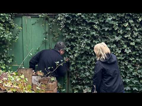 Rare Barn Find Sees Daylight for the First Time in 28 Years