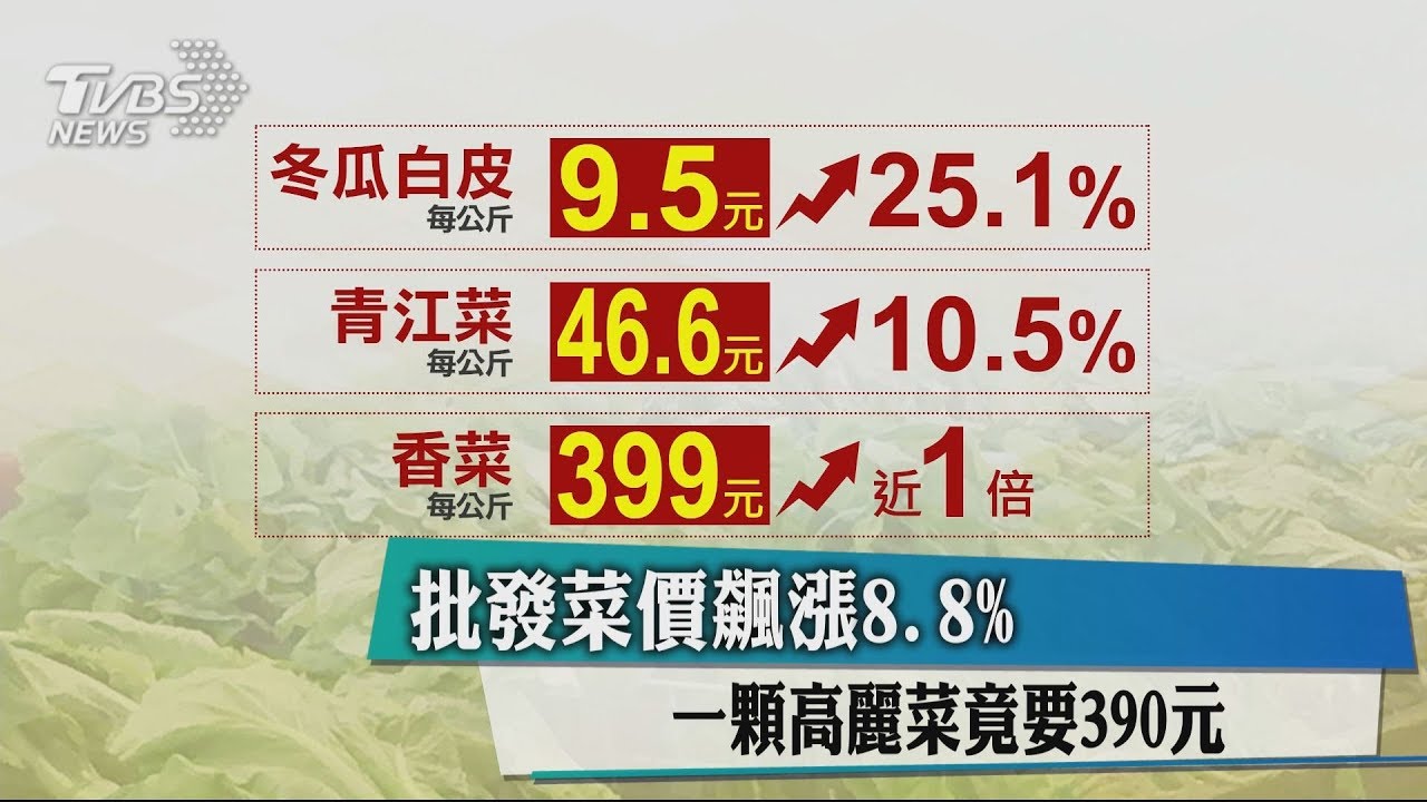 批發菜價飆漲8.8% 一顆高麗菜竟要390元