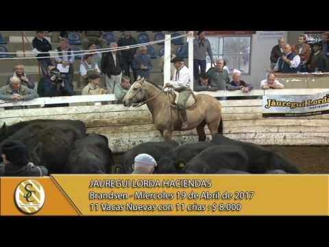 19-04-17 Venta de Vientres - Jauregui Lorda - Brandsen.