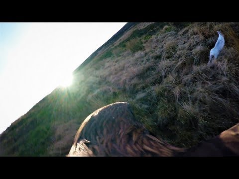 #Eaglecam 1 – Hunting Blue Hares in Scotland #Eaglecam 1 – Hunting Blue Hares in Scotland