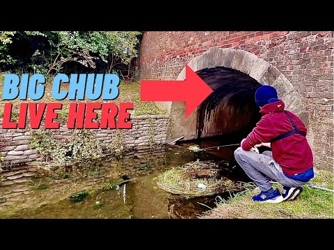 CHUB IN THE CITY | Micro Jigging For Perch and Chub | Lincoln City Centre