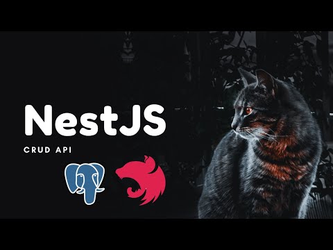 NestJS CRUD API with PostgreSQL for Beginners | LinkedIn Clone… - Partner
