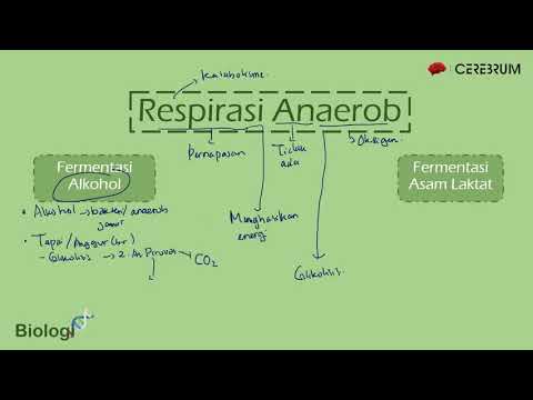 download lagu mp3 mp4 Anaerob, download lagu Anaerob gratis, unduh video klip Anaerob