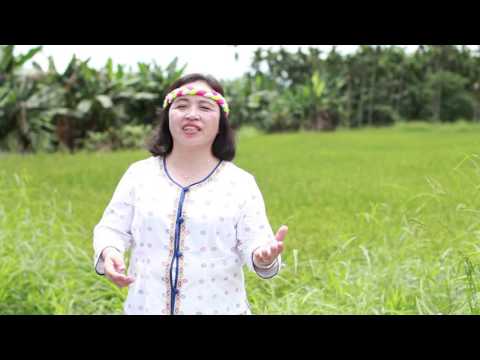 歌謠篇   太魯閣語 01Alang mu 我的部落《傳唱篇》