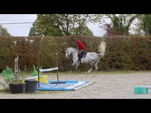 CONSTANCE DU GAZON