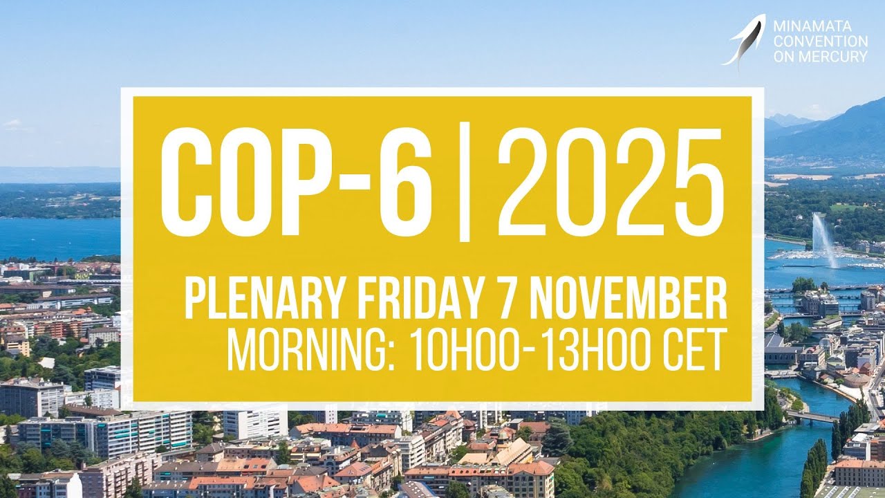 #MinamataCOP6: Morning Plenary (7 November 2025)