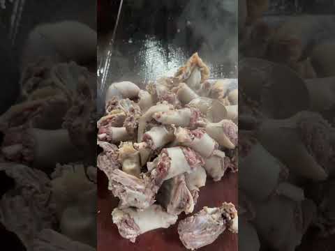 Sloth #sloth #animals