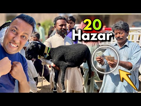 20 Hazar Challenge 💪 | Qurbani Bakra Hunt Karachi Sirf 20K Budget 😳